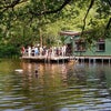 Photo 4: Hampstead Heath ladies swimming pond