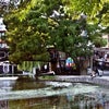 Photo 5: Camden Town - 15 minutes away