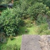 Photo 4: Garden