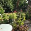 Photo 3: Relax in the garden