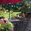 Photo 9: The patio