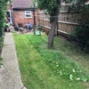 Photo 2: Garden 
