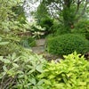 Photo 9: rear garden