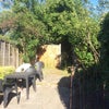 Photo 4: Garden + extra huge garden behind!