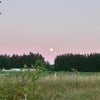 Photo 2: Close fields