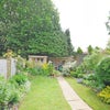 Photo 4: Garden