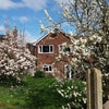 Photo 9: Room overlooks private rear garden