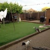 Photo 2: the garden