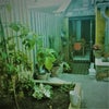 Photo 7: garden