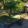 Photo 7: Garden and patio.