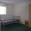 Photo 3: Room available