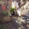 Photo 7: Garden from the room