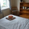Photo 3: Bedroom