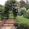 Photo 3: Back garden