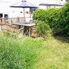 Photo 5: lovely south garden