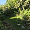 Photo 6: Garden