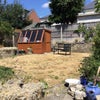 Photo 5: The garden