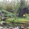 Photo 3: The pond