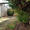 Photo 6: Rear garden