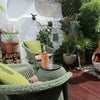 Photo 8: Garden deck