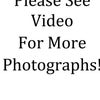 Photo 1: Please see video for more photographs