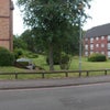 Photo 3: View from front door to private road