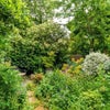 Photo 8: The garden which is great for summer, again you can access this