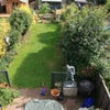 Photo 8: Garden