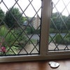Photo 3: View from window