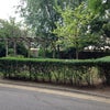 Photo 8: Grounds