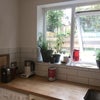 Photo 3: Fresh herbs growing at the kitchen window