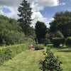 Photo 2: Garden