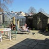 Photo 6: Michael in the garden a couple of years ago