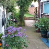 Photo 2: Garden