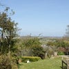 Photo 3: Far reaching views from garden