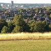 Photo 5: View from Local Park (Meersbrook Park)