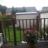 Photo 4: Garden 