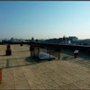 Photo 5: Roof terrace (sixth floor)