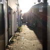 Photo 5: Mews view in the morning