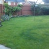 Photo 3: Garden
