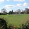 Photo 3: The park is just opposite 