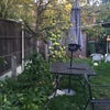Photo 3: Some fruits in the garden