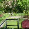 Photo 4: garden verranda