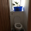 Photo 5: Loo