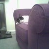Photo 2: Lounge