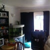 Photo 3: Living room