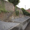 Photo 9: Patio