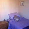 Photo 5: So cosy 