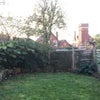 Photo 6: Garden