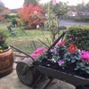 Photo 5: View from front of house October 2018